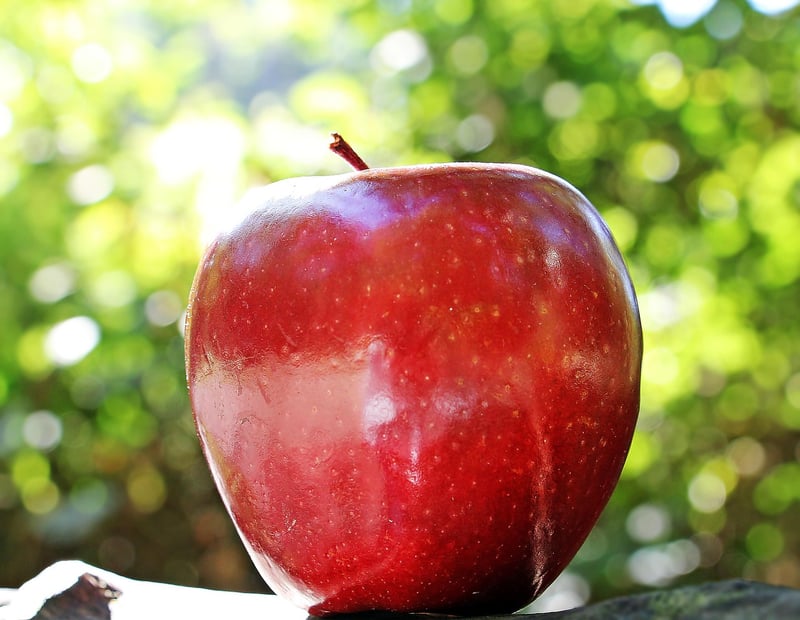 Apple and Cinnamon